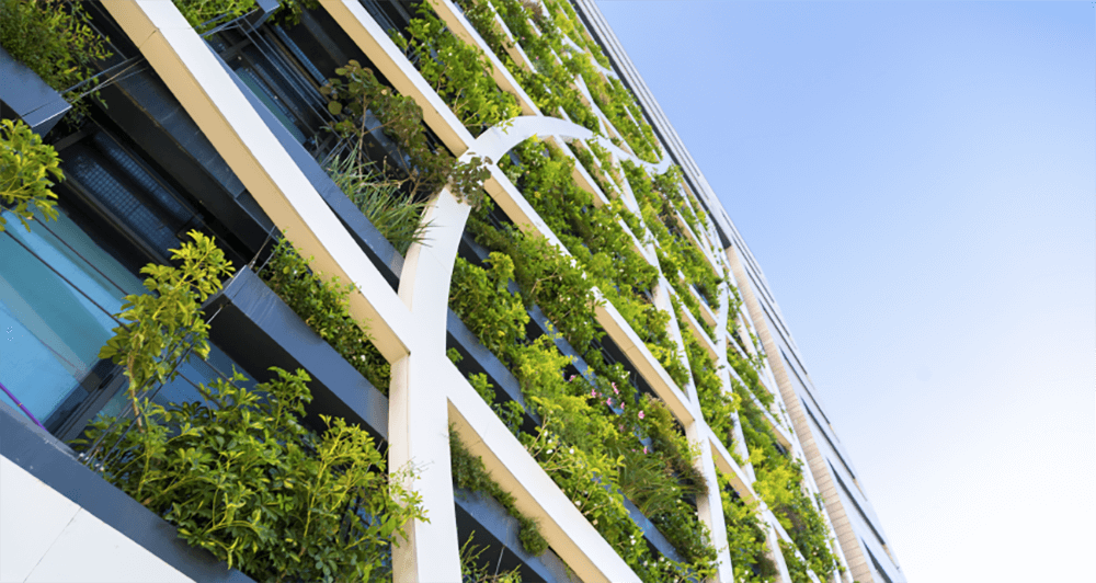 Exterior wall of a building that has plants growing along the entire wall