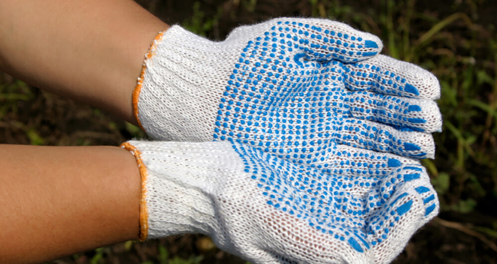 Two hands palms up wearing white and blue gardening gloves.