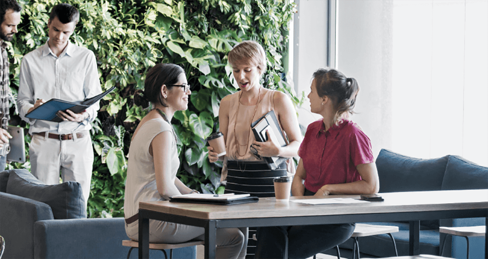 Three female coworkers having a discussion in a corporate setting