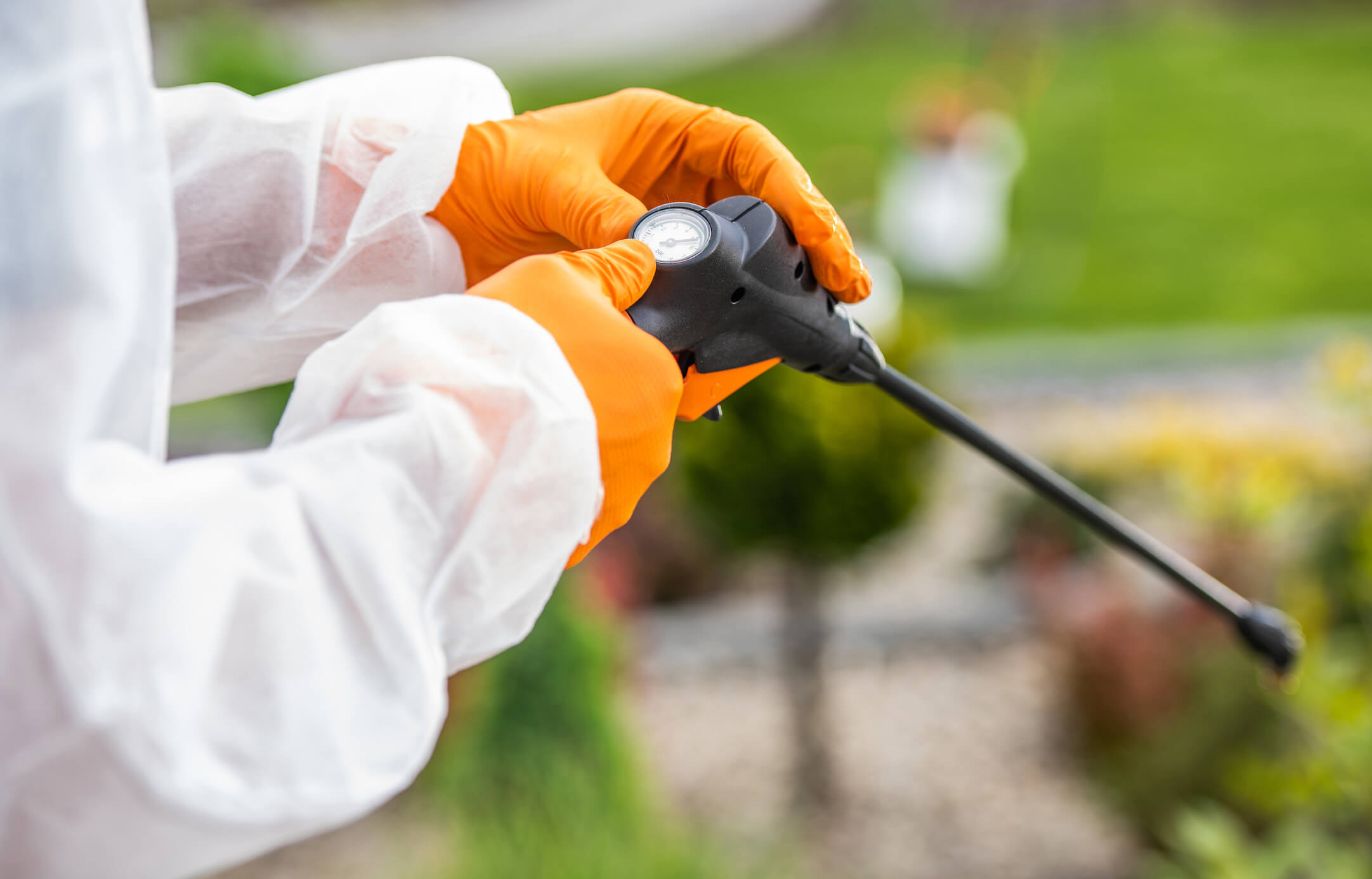 Gardener wearing white hazmat suit with orange gloves holding a pesticide sprayer. Blurred garden in the background.