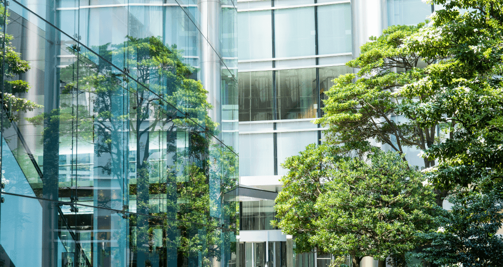 Exterior view of a glass corporate building with a large tree near the entrance.